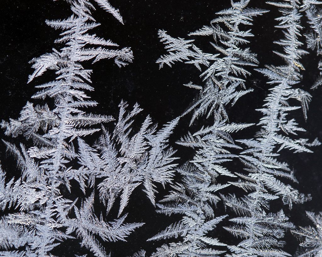 Frost on a window pane